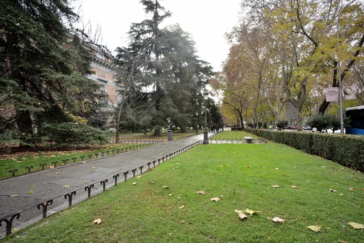 The tree-lined Paseo del Prado